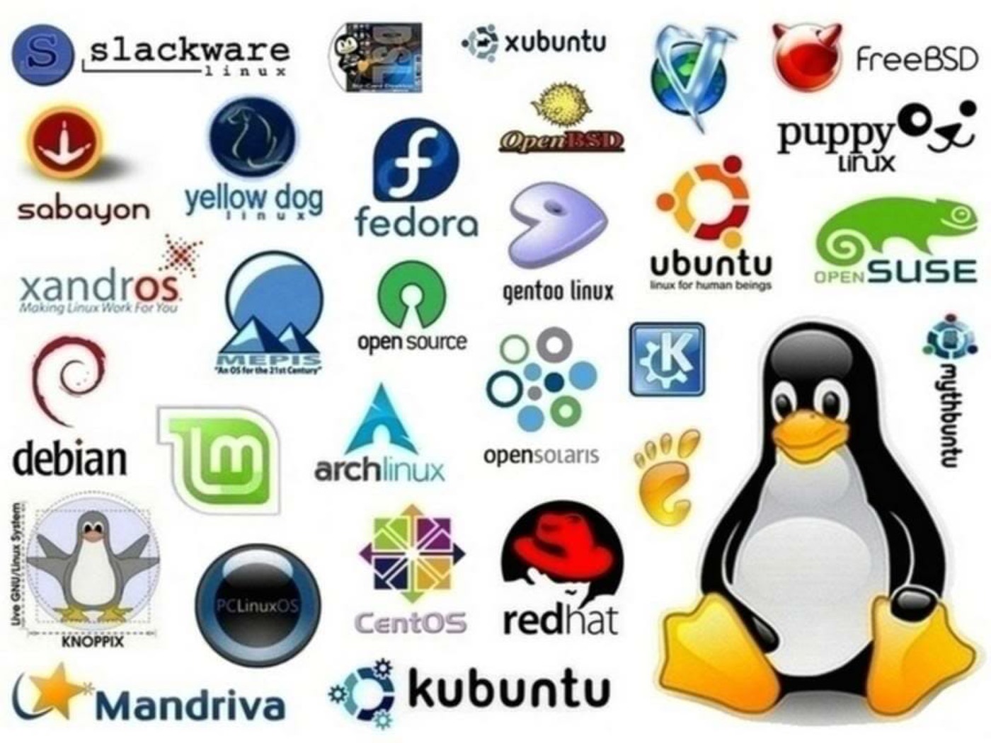 Mengenal Berbagai Distro Linux